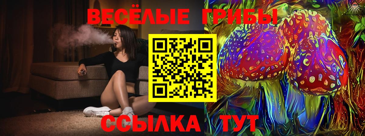 Галлюциногенные грибы MAGIC MUSHROOMS Бузулук